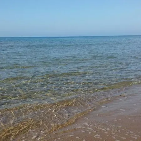 Sea Beach *
